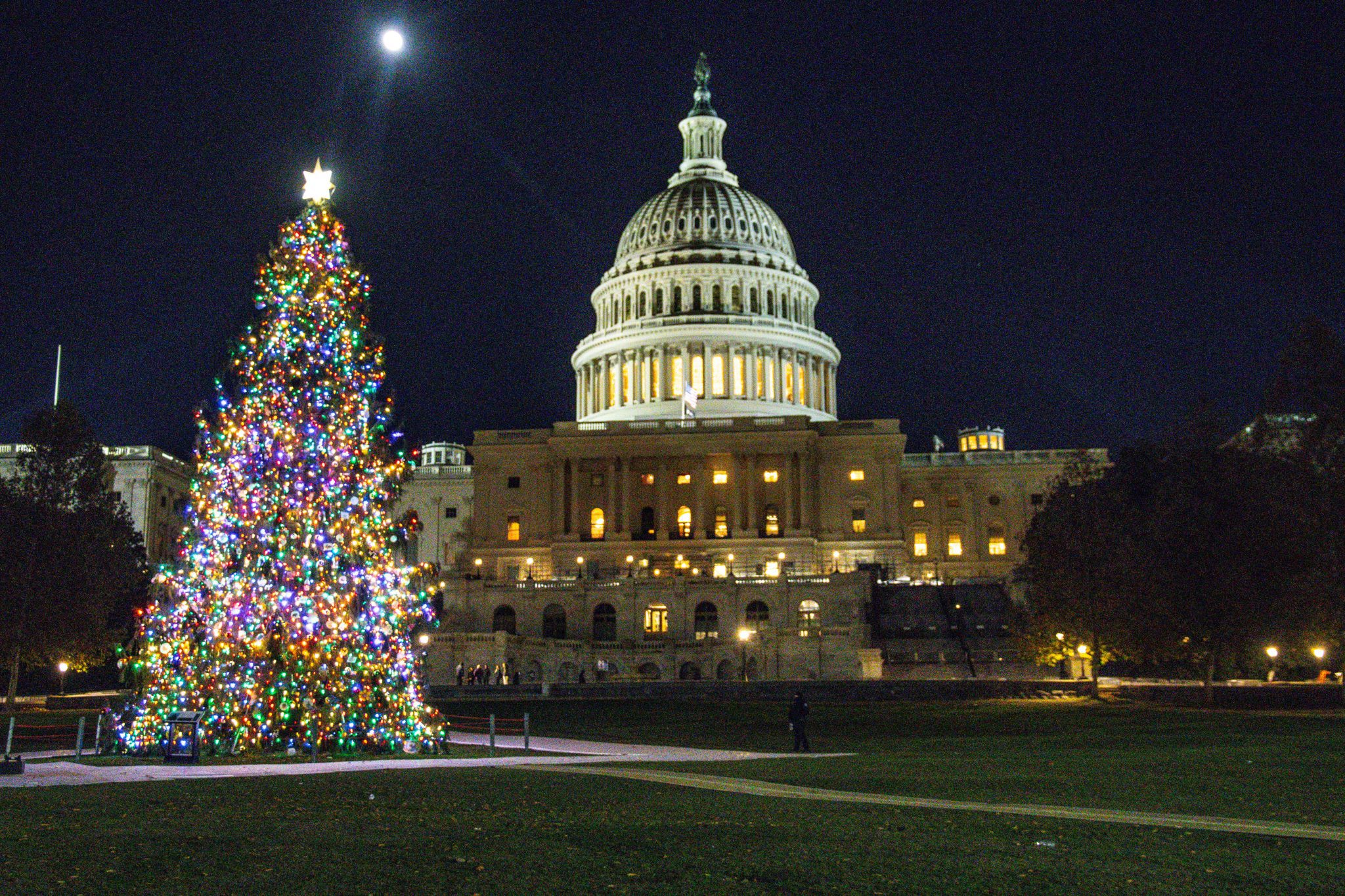 The U.S. Capitol Christmas Tree